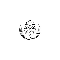 Fototapeta premium Minimalist Oak Leaf Logo Design, Natural, Organic, Clean Aesthetic