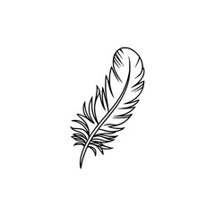 Obraz premium Minimalist Feather Line Art Illustration on White Background