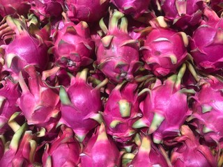 close up of  Dragon fruit
