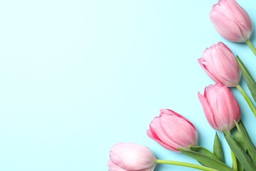 Beautiful bouquet of fresh tulips on a colored background