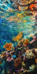 Obraz premium Underwater Coral Reef: An aquatic panorama showcasing a vibrant, colorful coral reef teeming with marine life beneath the shimmering surface of the ocean.