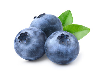 Blueberries isolated on white background. Clipping path.
