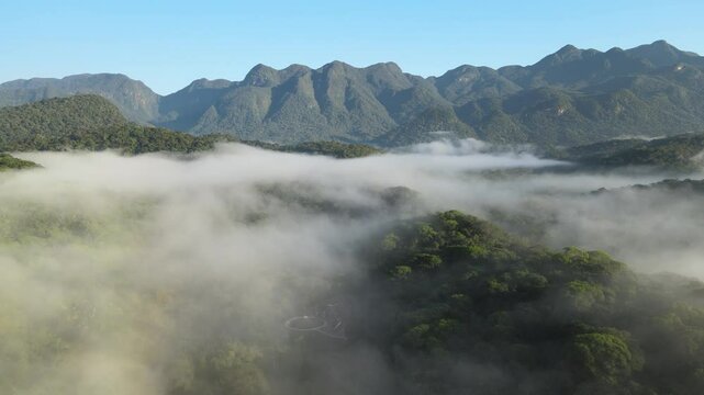 Floresta Mata atl&acirc;ntica com serra do mar e montanhas ao fundo sob neblina