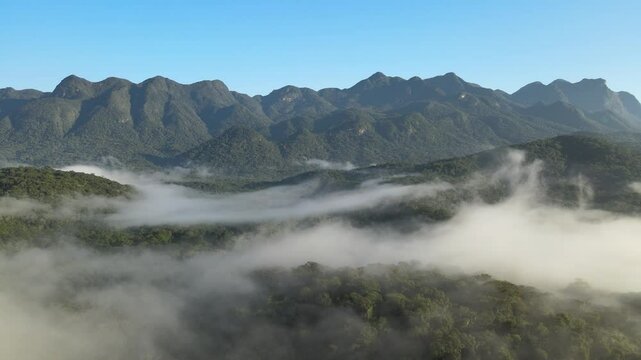 Floresta Mata atl&acirc;ntica com serra do mar e montanhas ao fundo sob neblina