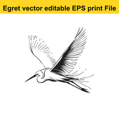 Vector Egret or Heron, standing and flyind