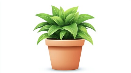 Vibrant Green Plant Growing in a Terracotta Pot Filled with Soil Isolated on White Background