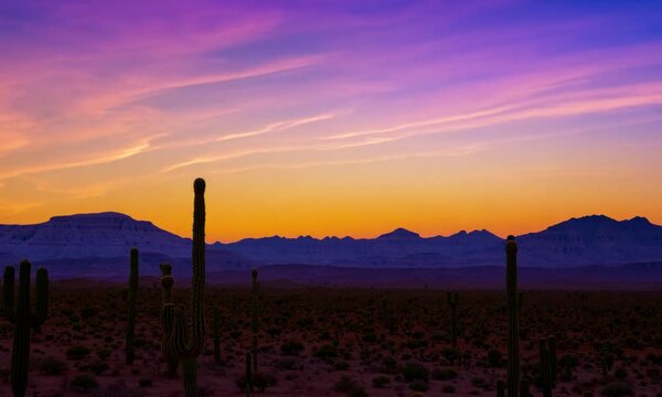 Sunset view of the Arizona desert with Saguaro cacti and mountains