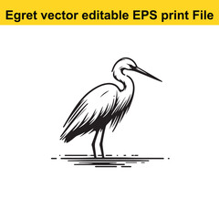 Vector Egret or Heron, standing and flyind