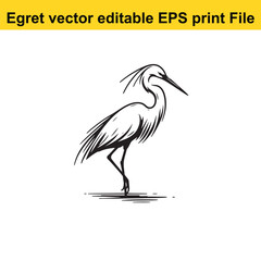 Vector Egret or Heron, standing and flyind