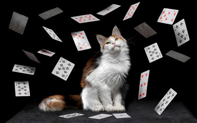 playing cards fall on a black table