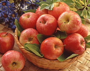 Apple basket on nature background.