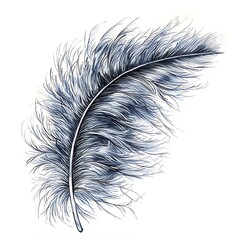 Obraz premium Single Ostrich Feather, Watercolor Painting A Detailed Illustration of a Delicate Bird Feather.