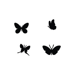 Butterfly flying with silhouette 