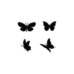 Butterfly flying with silhouette 