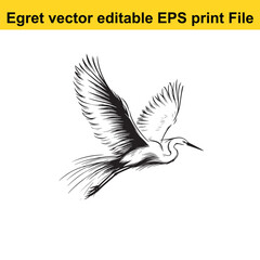 Vector Egret or Heron, standing and flyind