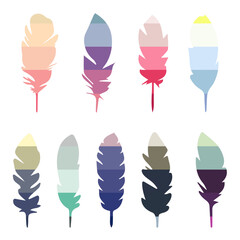 Feathers of different colors. Pen. Vector illustration without background