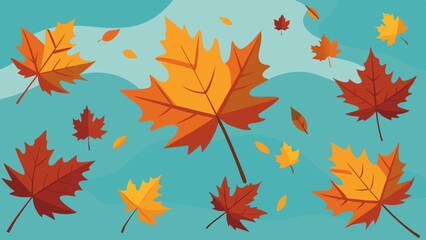 maple leaves fall