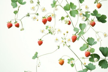 Fresh strawberries and white flowers on a light background, symbolizing summer s bounty, healthy eating, and vibrant nature