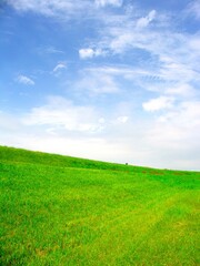 秋の赤い彼岸花咲くサイクリング道路のある江戸川土手風景