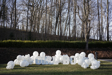 On the lawn there are balloons and the words "girl" and "boy". Gender party.