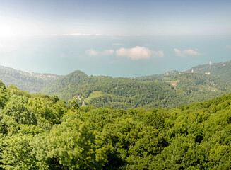 Obraz premium Sweeping view of dense forest canopy leading to calm blue sea. Morning sun casts soft light over hills, creating serene atmosphere. Clear sky enhances natural beauty and tranquility