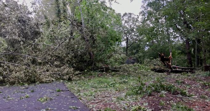In aftermath storm of hurricane trees fell on fences surrounding homes, causing damage