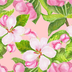 Seamless pattern with blooming spring flower. Apricot, cherry, pear,almond, apple, peach flowers. Hand drawn watercolor flowers, leaves and buds on pink background