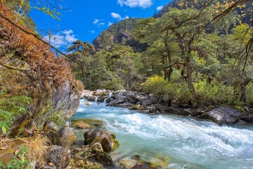 Jomolhari Trek From Shana to Thangthangkha