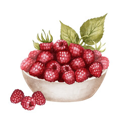 bowl filled with ripe raspberries and green leaves. Hand-painted watercolor illustration Ideal for food-related designs, packaging, and kitchen decor.