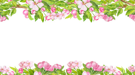 Watercolor blossoming sakura, almond, pear, peach, cherry or apple buds and flowers seamless horizontal border isolated on white background