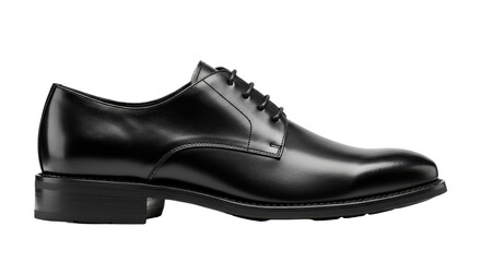 Isolated Black Leather Shoe