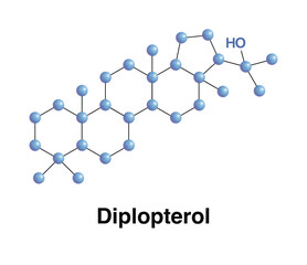 Diplopterol Triterpenoid Molecule Produced By Bacteria, Ferns, Protozoans. Biology Science Vector Illustration