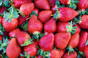 A close-up background featuring blurred strawberry plants and ripe red strawberries. The soft focus creates a natural texture, making it ideal for use as a backdrop in food or nature-themed designs.