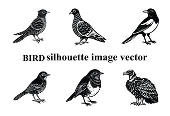  Graceful Wings in the Shadows: A Stunning Bird Silhouette,Silent Flight: The Beauty of a Bird in Silhouette Form