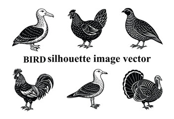  Graceful Wings in the Shadows: A Stunning Bird Silhouette,Silent Flight: The Beauty of a Bird in Silhouette Form