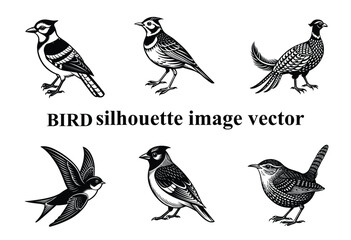  Graceful Wings in the Shadows: A Stunning Bird Silhouette,Silent Flight: The Beauty of a Bird in Silhouette Form