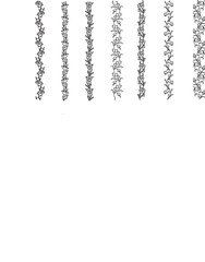 İllustration,vector,design,brush lace tecnicals,brush lace drawing,decorative borders,Elegant lace decorative borders,decorative borders drawings.lace border,fashion lace brush,lace drawings,