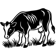 Fototapeta premium Line art vector silhouette of a small baby cow grazing in a field 