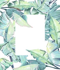 Tropical composition with banana leaves, watercolor illustration Perfect for menu design, invitations, and creative projects Bright, exotic atmosphere with vibrant botanical elements on a white 