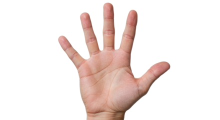 Isolated Open Hand Front View