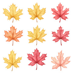 Obraz premium A collection of hand-painted watercolor maple leaves in various autumn colors, showcasing the beauty of nature and seasonal change.