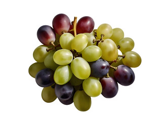 Cluster of mixed-colored grapes