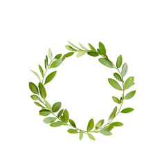 A delicate green leaf wreath with a simple, elegant design, perfect for decoration or as a natural accent. Isolated on a white background to highlight its beauty.