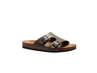 Brown leather sandals with two adjustable buckles.  Simple, classic design