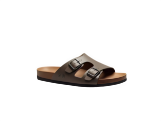 Brown leather sandals with two adjustable buckles.  Simple, classic design
