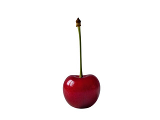 Single, vibrant red cherry, stem intact