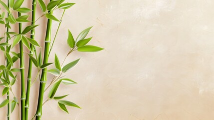 Naklejka premium Minimalist and delicate bamboo stalk pattern with soft green brushstrokes on a textured parchment background embodying Zen inspired simplicity and natural elegance