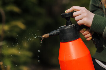 Naklejka premium Young girl farmer, gardener holding hand red sprayer, sprinkler, spraying pesticides, chemicals, water in garden outdoors from pests. Close-up photo. Gardening, care concept.