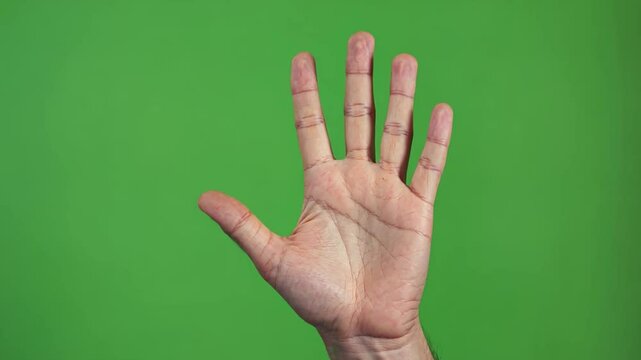 Count on Me: A close-up view of a hand with fingers outstretched against a vibrant green backdrop, emphasizing gesture and communication.
