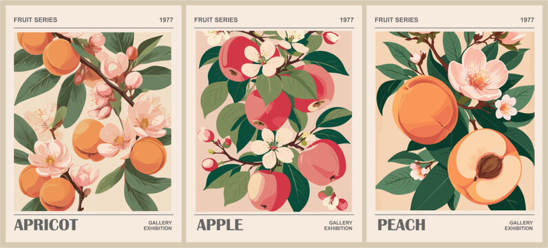 Set of Fruit market retro posters  with peach, apricot and apple fruits. Kitchen wall art. Colorful vector illustrations	